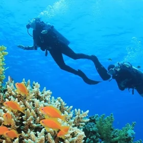 Png(46)_cr_horizontal